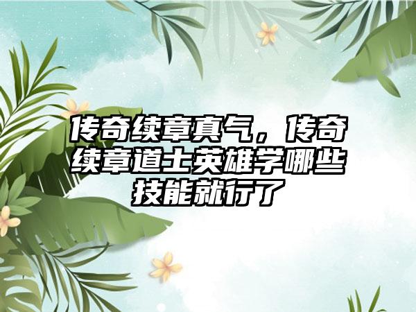传奇续章真气，传奇续章道士英雄学哪些技能就行了