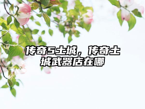 传奇5土城，传奇土城武器店在哪