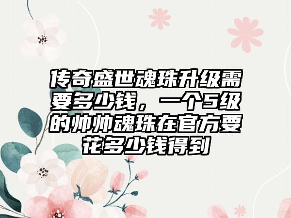 传奇盛世魂珠升级需要多少钱，一个5级的帅帅魂珠在官方要花多少钱得到