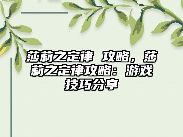 莎莉之定律 攻略，莎莉之定律攻略：游戏技巧分享