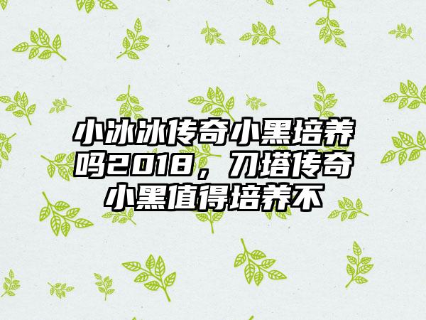 小冰冰传奇小黑培养吗2018，刀塔传奇小黑值得培养不