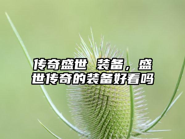 传奇盛世 装备，盛世传奇的装备好看吗