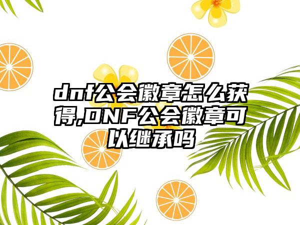 dnf公会徽章怎么获得,DNF公会徽章可以继承吗