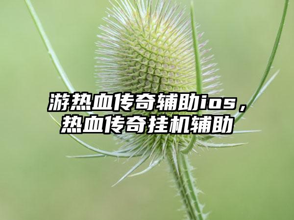 游热血传奇辅助ios，热血传奇挂机辅助