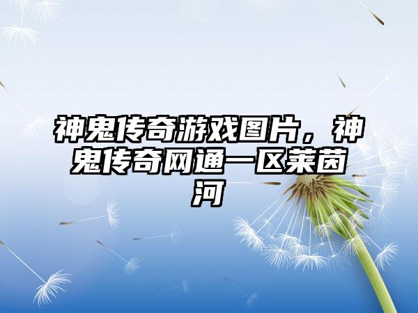 神鬼传奇游戏图片，神鬼传奇网通一区莱茵河