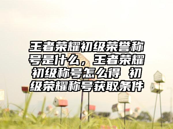 王者荣耀初级荣誉称号是什么，王者荣耀初级称号怎么得 初级荣耀称号获取条件