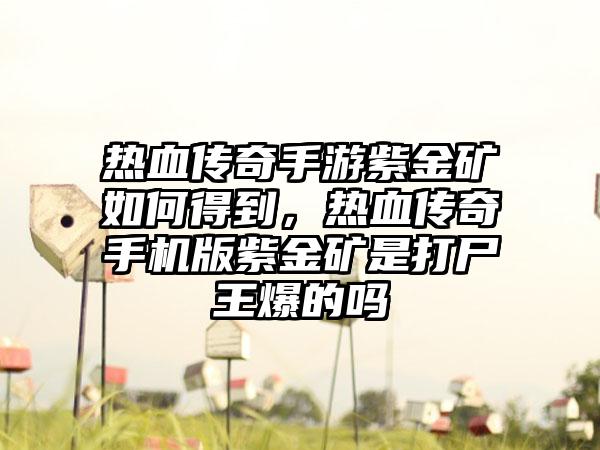 热血传奇手游紫金矿如何得到，热血传奇手机版紫金矿是打尸王爆的吗