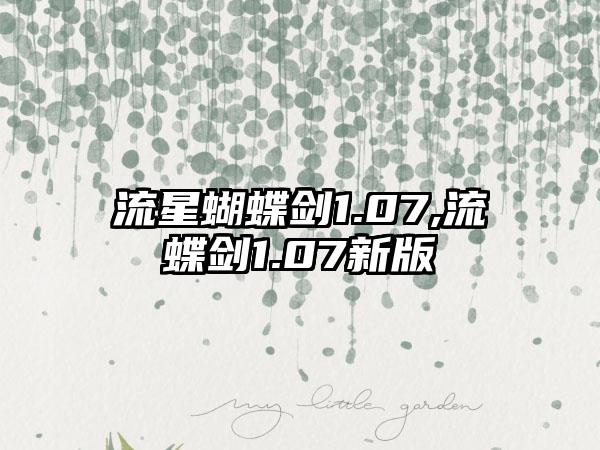 流星蝴蝶剑1.07,流蝶剑1.07新版