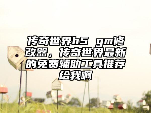 传奇世界h5 gm修改器，传奇世界最新的免费辅助工具推荐给我啊