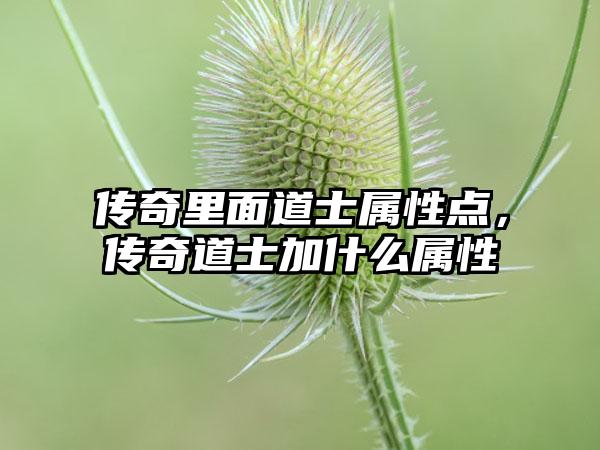 传奇里面道士属性点，传奇道士加什么属性