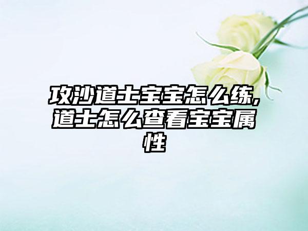 攻沙道士宝宝怎么练,道士怎么查看宝宝属性