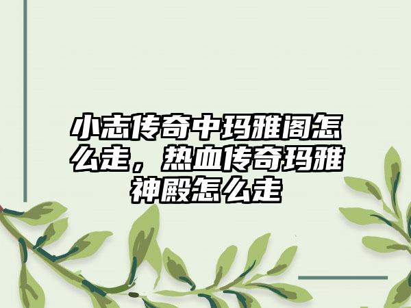 小志传奇中玛雅阁怎么走，热血传奇玛雅神殿怎么走