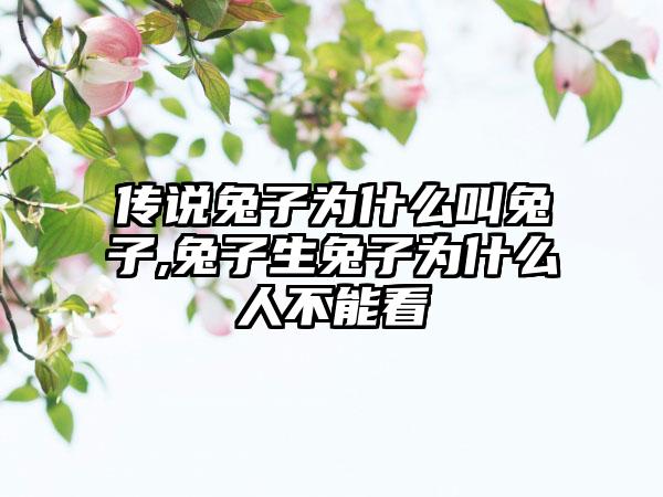 传说兔子为什么叫兔子,兔子生兔子为什么人不能看