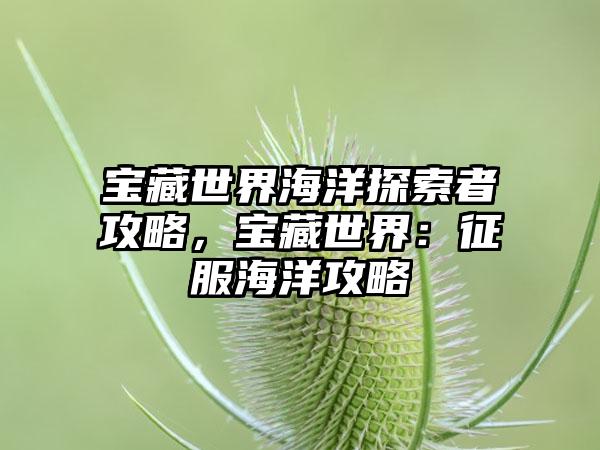 宝藏世界海洋探索者攻略，宝藏世界：征服海洋攻略