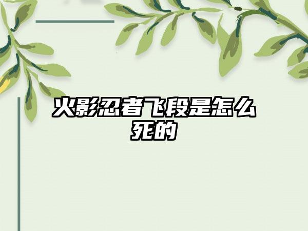 火影忍者飞段是怎么死的