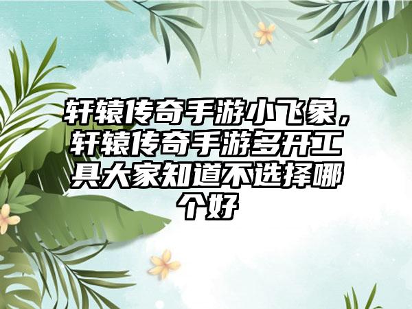 轩辕传奇手游小飞象，轩辕传奇手游多开工具大家知道不选择哪个好