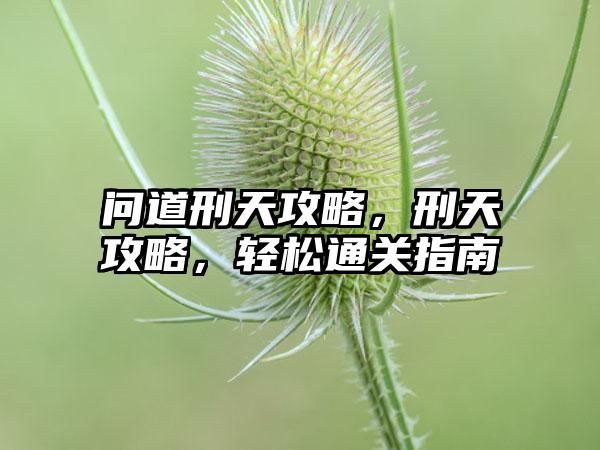 问道刑天攻略，刑天攻略，轻松通关指南