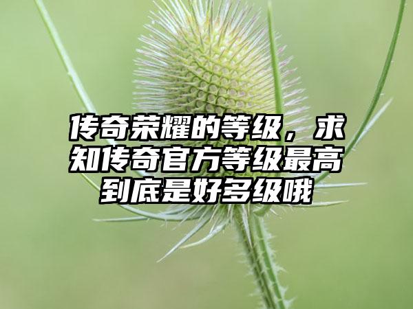 传奇荣耀的等级，求知传奇官方等级最高到底是好多级哦