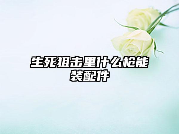 生死狙击里什么枪能装配件