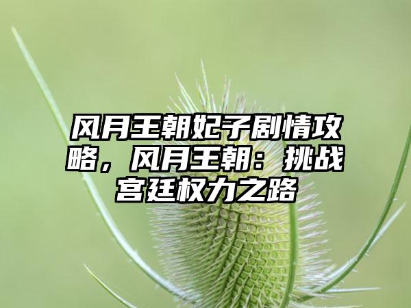 风月王朝妃子剧情攻略，风月王朝：挑战宫廷权力之路