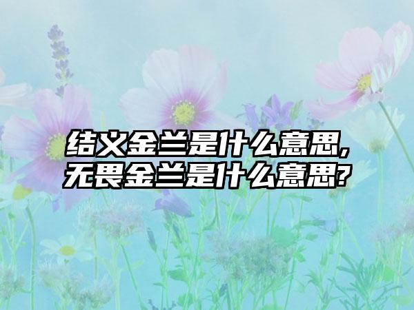 结义金兰是什么意思,无畏金兰是什么意思?