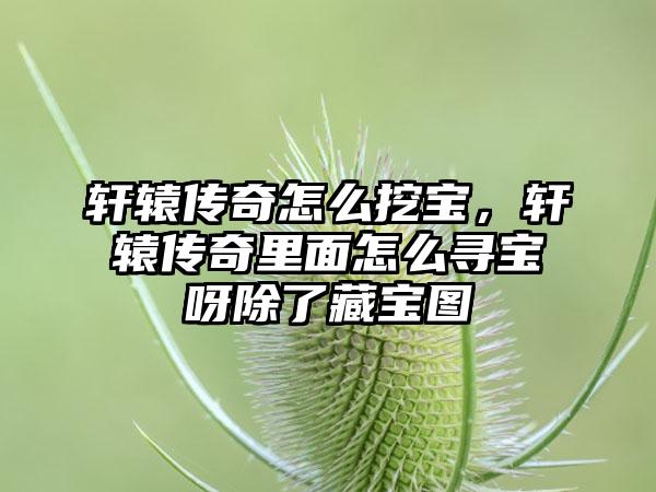 轩辕传奇怎么挖宝，轩辕传奇里面怎么寻宝呀除了藏宝图