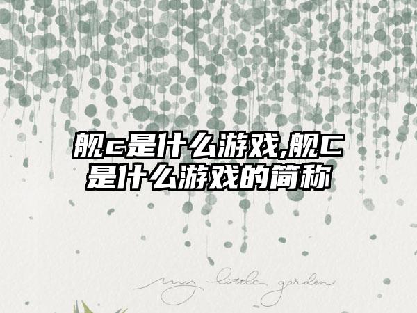 舰c是什么游戏,舰C是什么游戏的简称