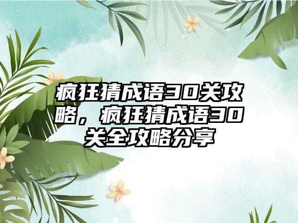 疯狂猜成语30关攻略，疯狂猜成语30关全攻略分享