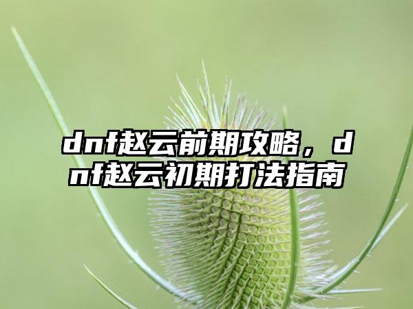 dnf赵云前期攻略，dnf赵云初期打法指南