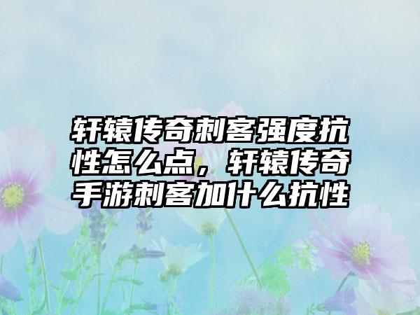轩辕传奇刺客强度抗性怎么点，轩辕传奇手游刺客加什么抗性