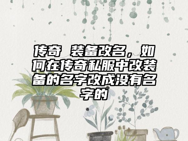 传奇 装备改名，如何在传奇私服中改装备的名字改成没有名字的