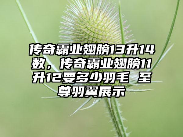 传奇霸业翅膀13升14数，传奇霸业翅膀11升12要多少羽毛 至尊羽翼展示