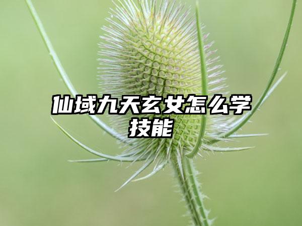 仙域九天玄女怎么学技能