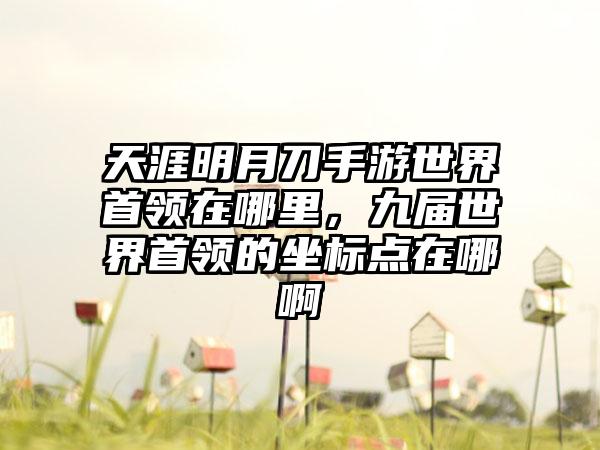 天涯明月刀手游世界首领在哪里，九届世界首领的坐标点在哪啊