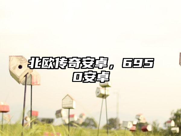 北欧传奇安卓，6950安卓