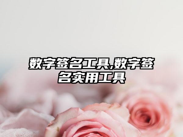 数字签名工具,数字签名实用工具