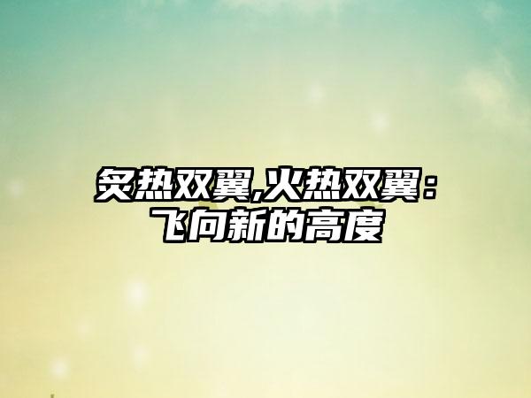 炙热双翼,火热双翼：飞向新的高度