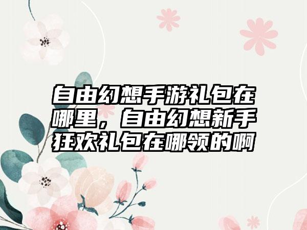 自由幻想手游礼包在哪里，自由幻想新手狂欢礼包在哪领的啊