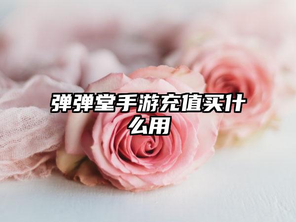 弹弹堂手游充值买什么用