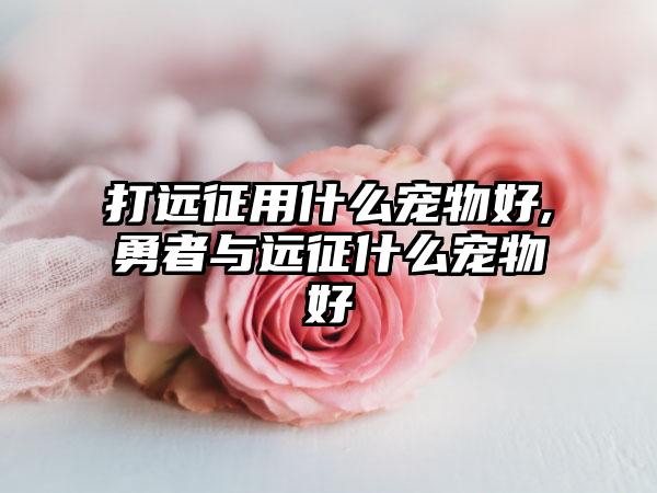 打远征用什么宠物好,勇者与远征什么宠物好