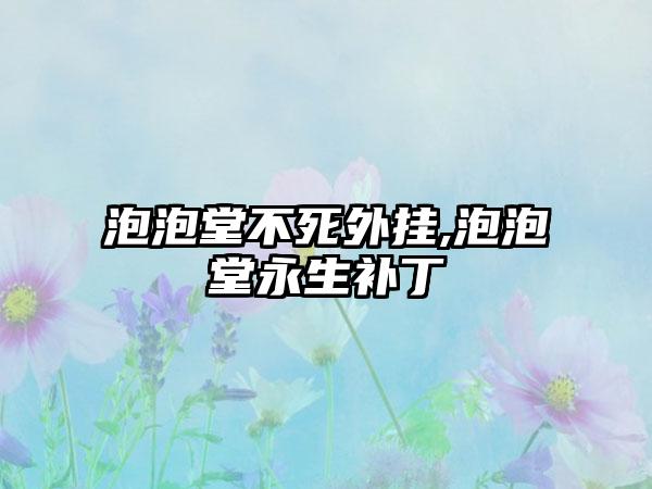 泡泡堂不死外挂,泡泡堂永生补丁