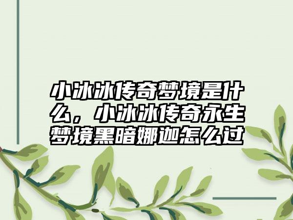小冰冰传奇梦境是什么，小冰冰传奇永生梦境黑暗娜迦怎么过