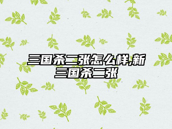 三国杀二张怎么样,新三国杀二张