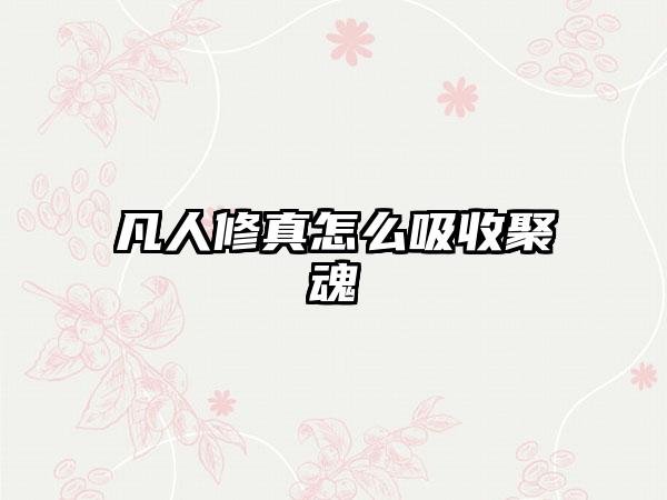 凡人修真怎么吸收聚魂
