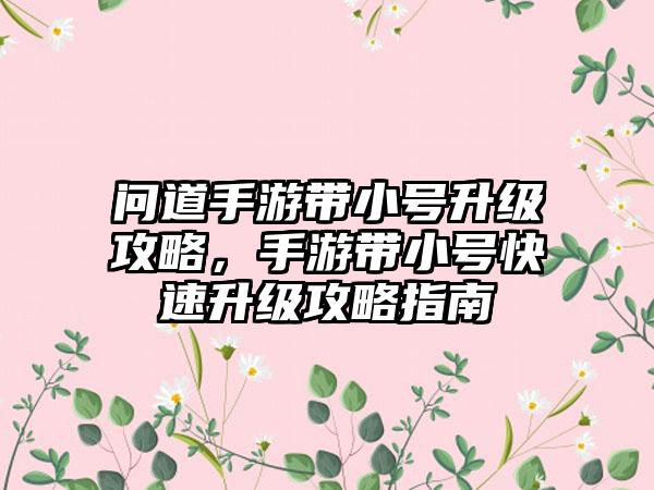问道手游带小号升级攻略，手游带小号快速升级攻略指南