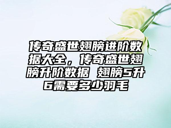 传奇盛世翅膀进阶数据大全，传奇盛世翅膀升阶数据 翅膀5升6需要多少羽毛