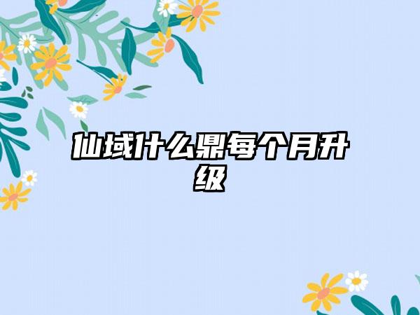 仙域什么鼎每个月升级