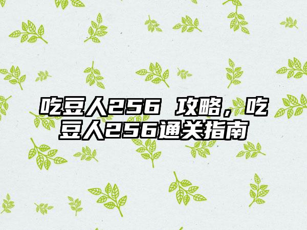 吃豆人256 攻略，吃豆人256通关指南