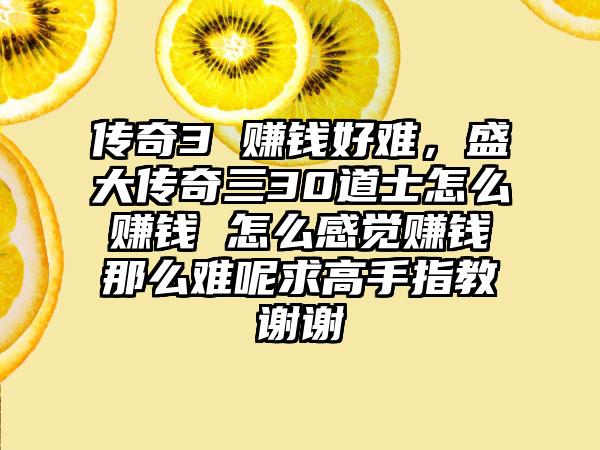 传奇3 赚钱好难，盛大传奇三30道士怎么赚钱 怎么感觉赚钱那么难呢求高手指教谢谢