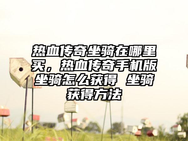 热血传奇坐骑在哪里买，热血传奇手机版坐骑怎么获得 坐骑获得方法